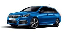 Gruppo Famiglia-SW Peugeot 308 (o simile)