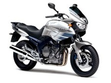 Gruppo Bike 900cc o + (o similar)